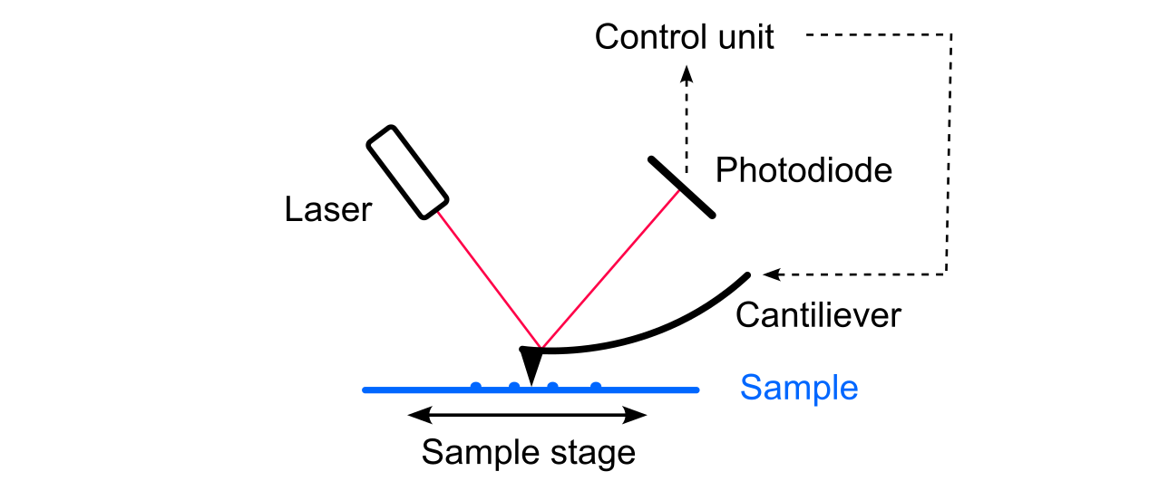 AMF schematic